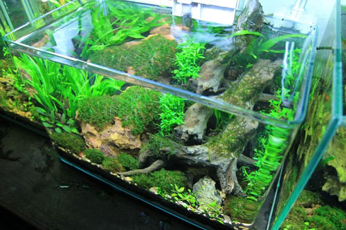 Kính cường lực và những ứng dụng thiết thực nhất