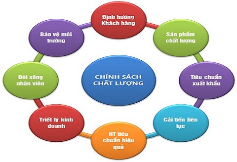 Chính sách về chất lượng
