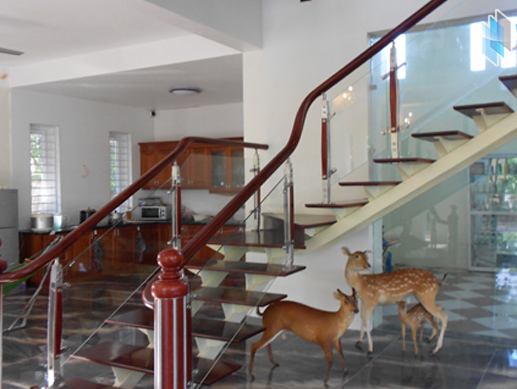 cau-thang-kinh-cuong-luc-thanh-hoa-8